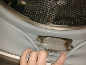 как почистить стиральную машину от плесени и причины ее появления