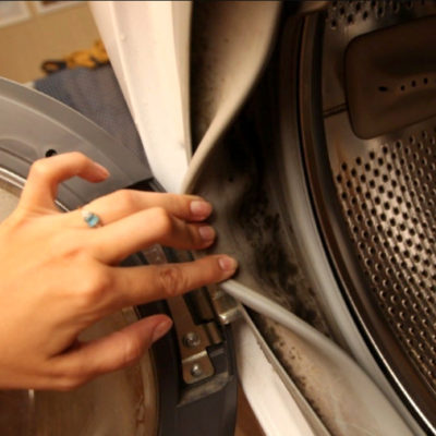 Идеальные способы очистить стиральную машину от плесени + видео